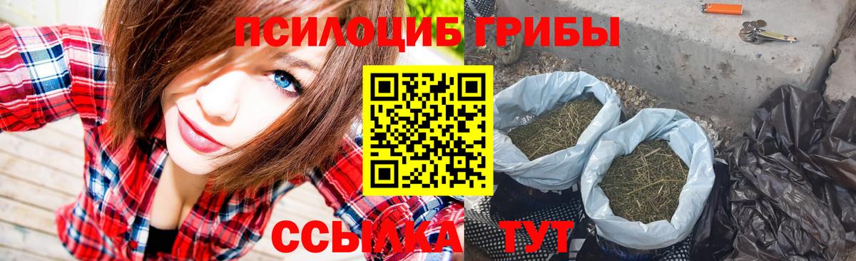 Галлюциногенные грибы прущие грибы Аксай